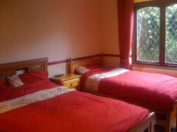 Newcourt B & B Ллантвіт-Мейджор Номер фото